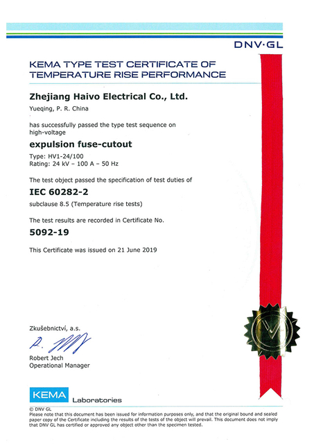 Вырез с предохранителем HV1-24-100 Тест по повышению температуры