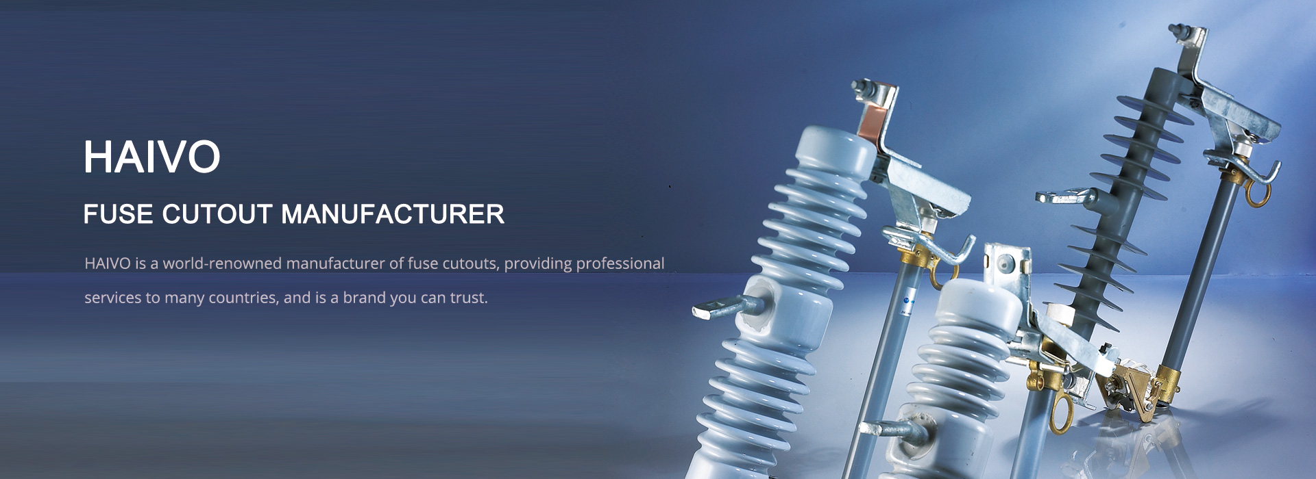 Fuse Cutout Manufacturer